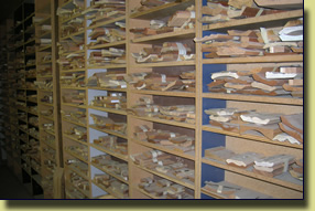Wood Molding Samples